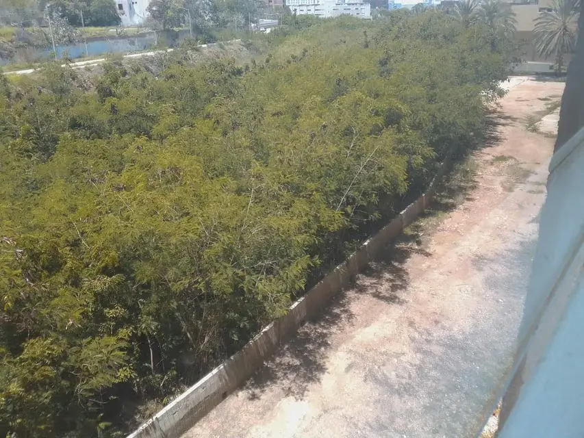Terreno (Comercial) en Venta en Playa el Angel, Nueva Esparta - 11
