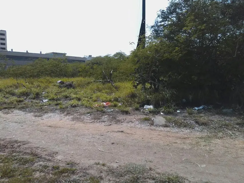 Terreno (Comercial) en Venta en Playa el Angel, Nueva Esparta - 10