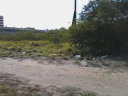 Vista 10