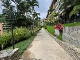 View 15