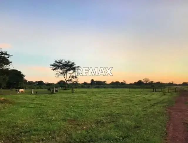Venta de Finca en Caño Benito 500 hectareas con todo Incluido