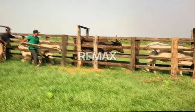 Venta de Finca en Caño Benito 500 hectareas con todo Incluido - 13