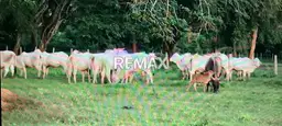 View 17