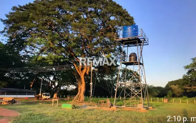Venta de Finca en Caño Benito 500 hectareas con todo Incluido - 2