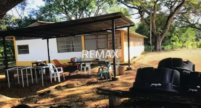 Venta de Finca en Caño Benito 500 hectareas con todo Incluido - 3