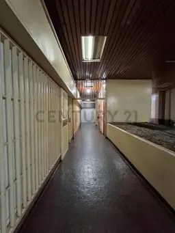 Vista 14