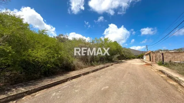 Amplio Terreno de 12.011 m² en El Yacal: Oportunidad de Inversión con Potencial de Desarrollo cerca del Casco Histórico de Santa Ana - 3