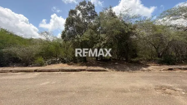 Amplio Terreno de 12.011 m² en El Yacal: Oportunidad de Inversión con Potencial de Desarrollo cerca del Casco Histórico de Santa Ana - 4