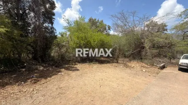 Amplio Terreno de 12.011 m² en El Yacal: Oportunidad de Inversión con Potencial de Desarrollo cerca del Casco Histórico de Santa Ana - 5