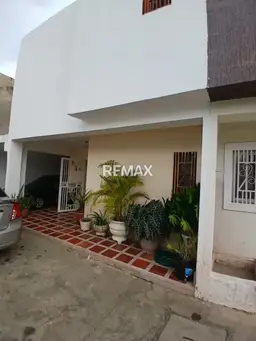 Vista 1