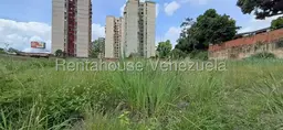 Vista 25