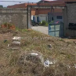Vista 6