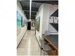 Vista 11