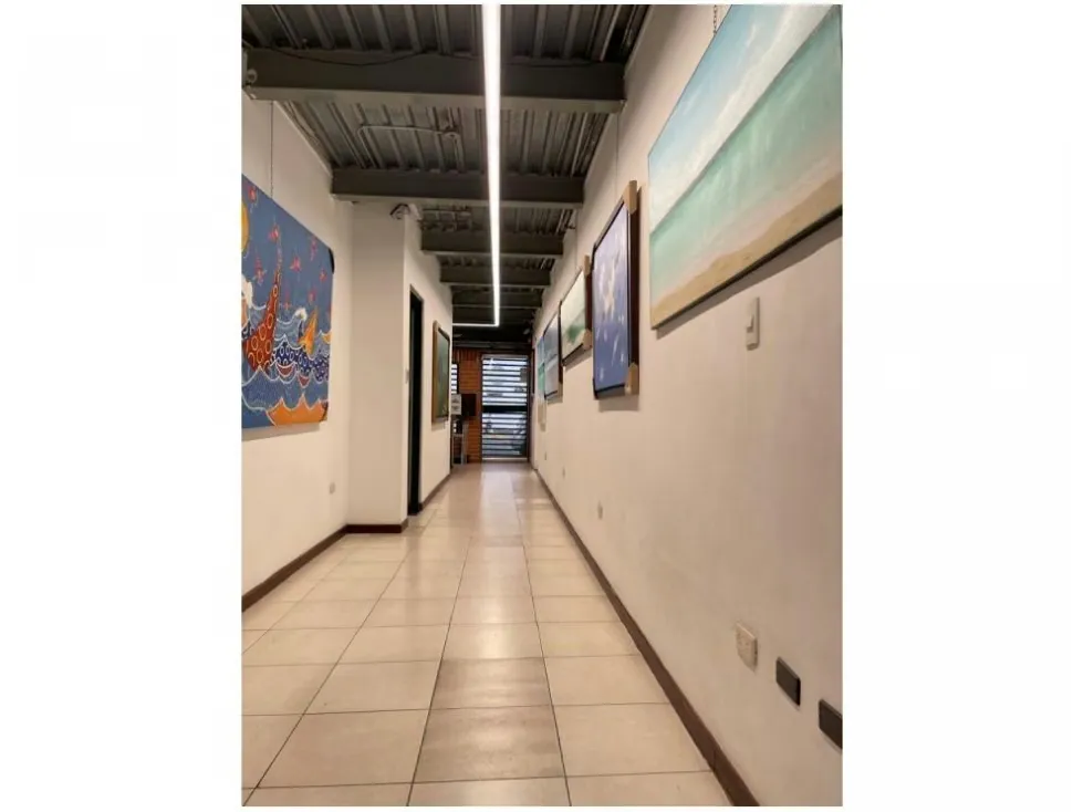 Vendo edificio comercial 870m2 Los Chorros 4528 - 12