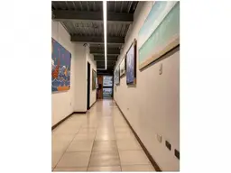 Vista 12