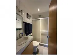 Vista 19