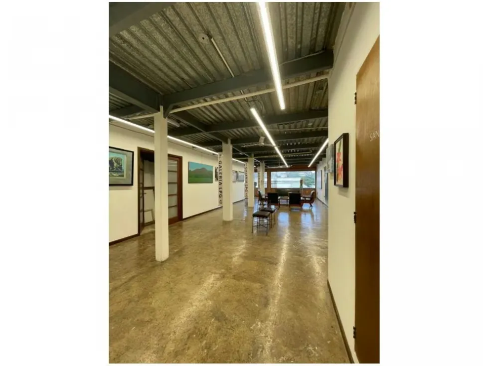 Vendo edificio comercial 870m2 Los Chorros 4528 - 3