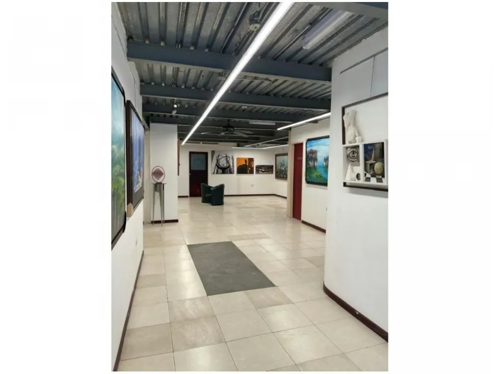 Vendo edificio comercial 870m2 Los Chorros 4528 - 5
