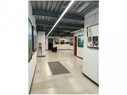 Vista 5