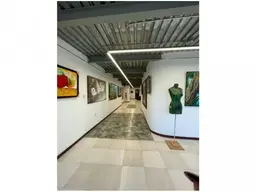 Vista 6