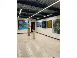 Vista 7
