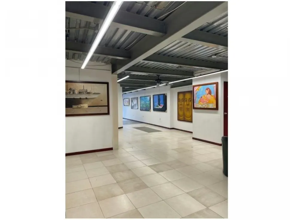 Vendo edificio comercial 870m2 Los Chorros 4528 - 10