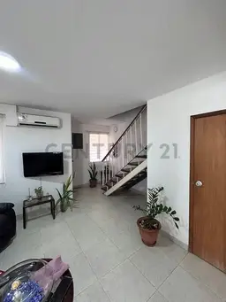 Vista 13