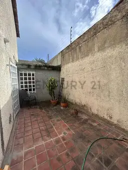 Vista 19