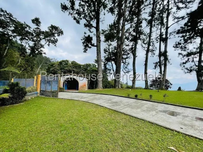Casa (1 Nivel) en Venta en Valle Alto, Aragua - 11