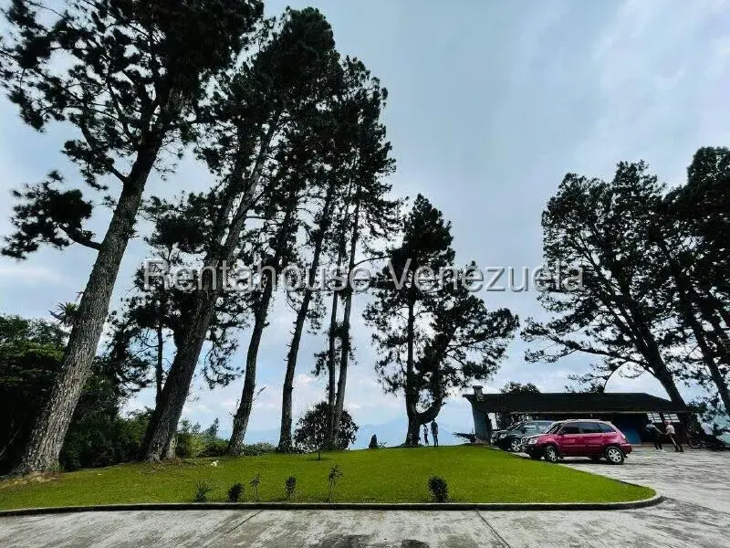 Casa (1 Nivel) en Venta en Valle Alto, Aragua - 3