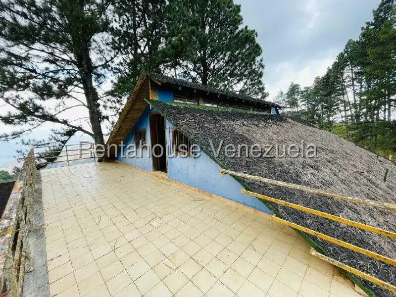 Casa (1 Nivel) en Venta en Valle Alto, Aragua - 40