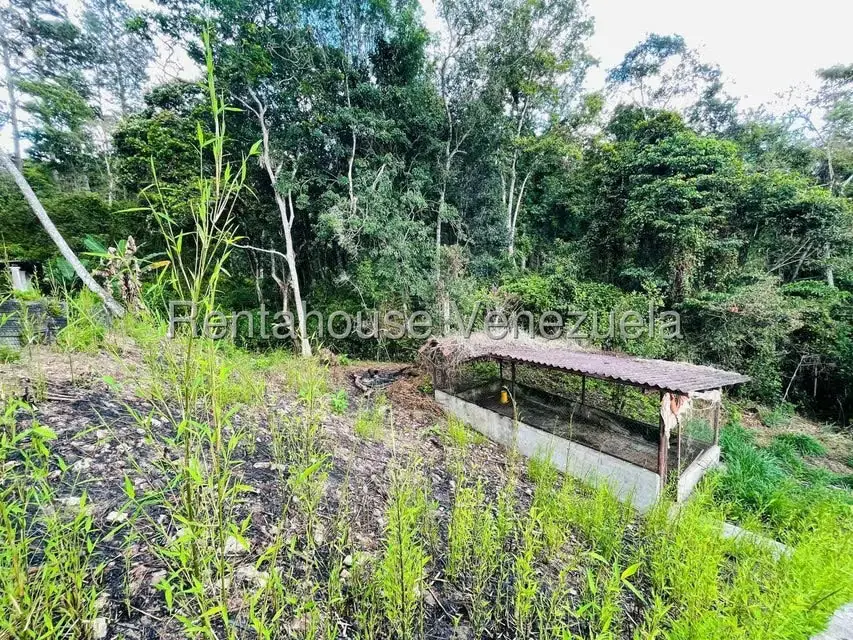 Casa (1 Nivel) en Venta en Valle Alto, Aragua - 48