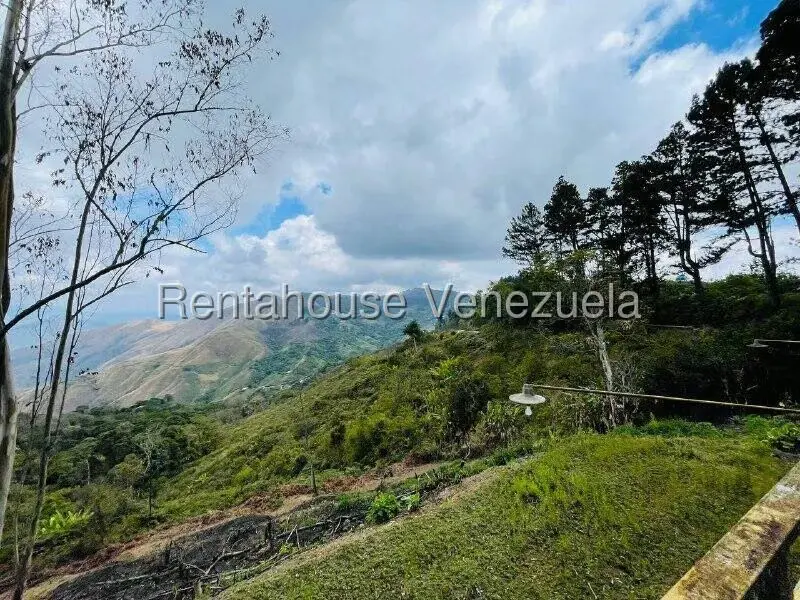 Casa (1 Nivel) en Venta en Valle Alto, Aragua - 5