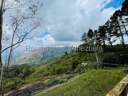 Vista 5