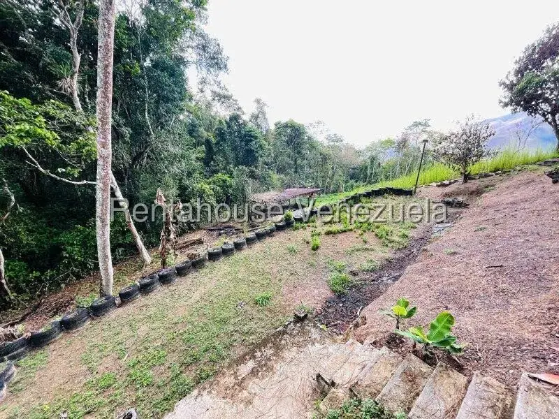 Casa (1 Nivel) en Venta en Valle Alto, Aragua - 51