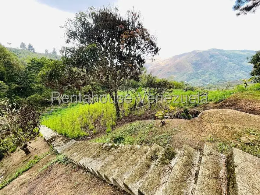 Casa (1 Nivel) en Venta en Valle Alto, Aragua - 52