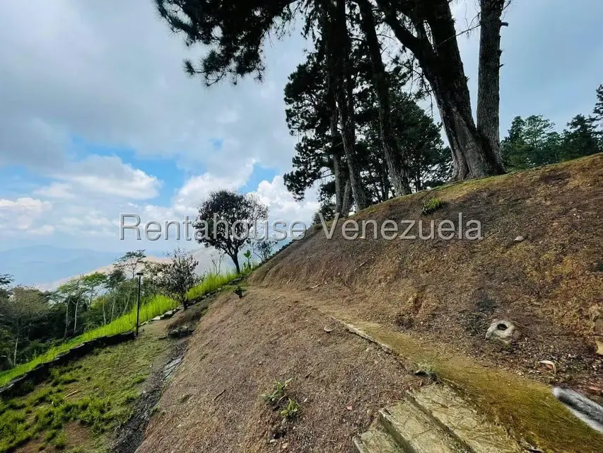 Casa (1 Nivel) en Venta en Valle Alto, Aragua - 53