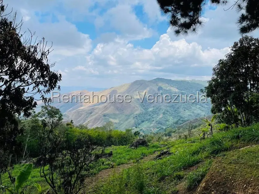 Casa (1 Nivel) en Venta en Valle Alto, Aragua - 55