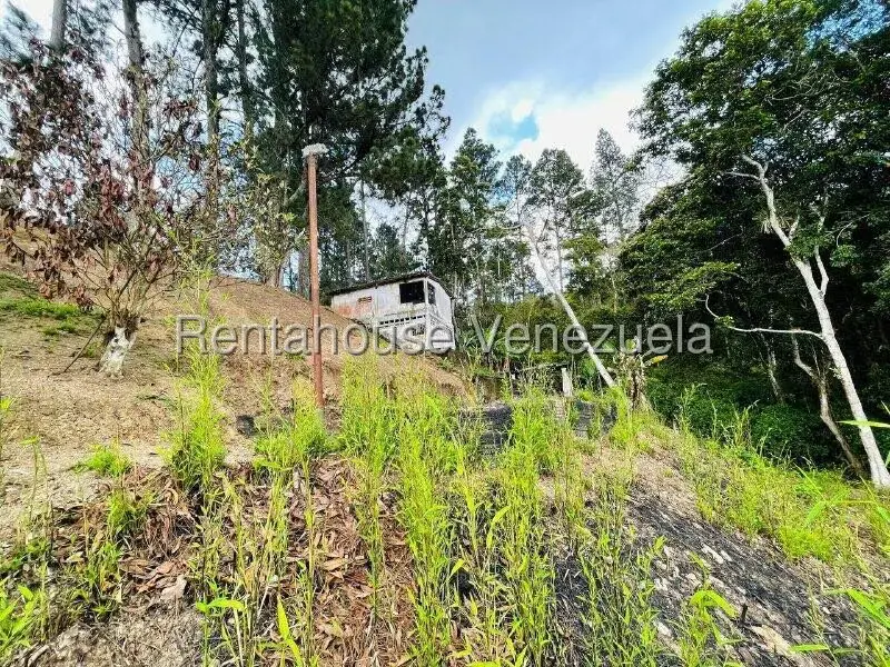 Casa (1 Nivel) en Venta en Valle Alto, Aragua - 56
