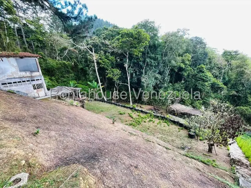 Casa (1 Nivel) en Venta en Valle Alto, Aragua - 58