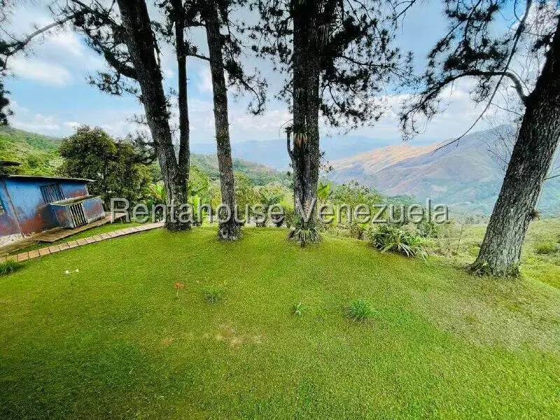Casa (1 Nivel) en Venta en Valle Alto, Aragua - 59