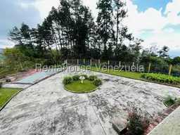 Vista 6
