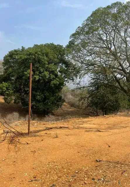 Oportunidad de inversión de gran escala en Brisas de Terepaima - 2