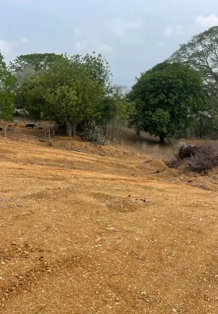 Oportunidad de inversión de gran escala en Brisas de Terepaima - 4