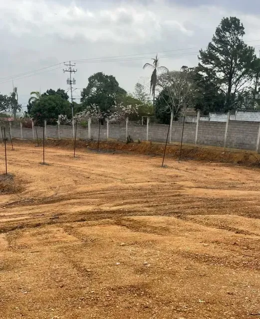 Oportunidad de inversión de gran escala en Brisas de Terepaima - 5
