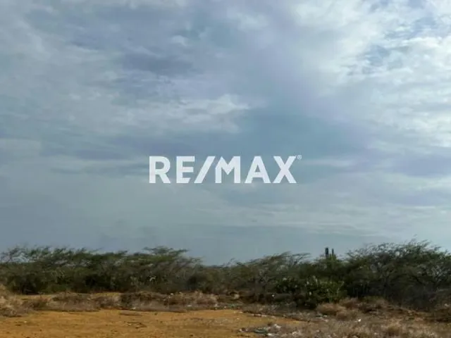 Terreno en Venta - Guanadito Sur - 2