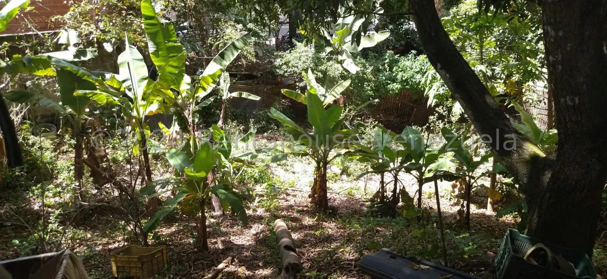 Terreno (Residencial) en Venta en Sebucan, Distrito Metropolitano - 13