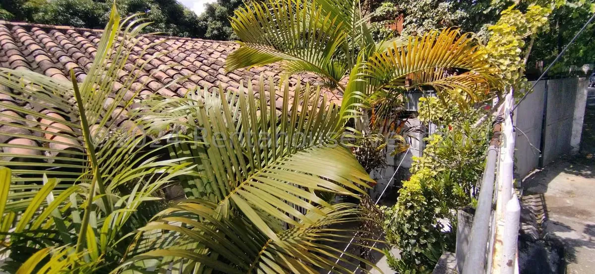 Terreno (Residencial) en Venta en Sebucan, Distrito Metropolitano - 5