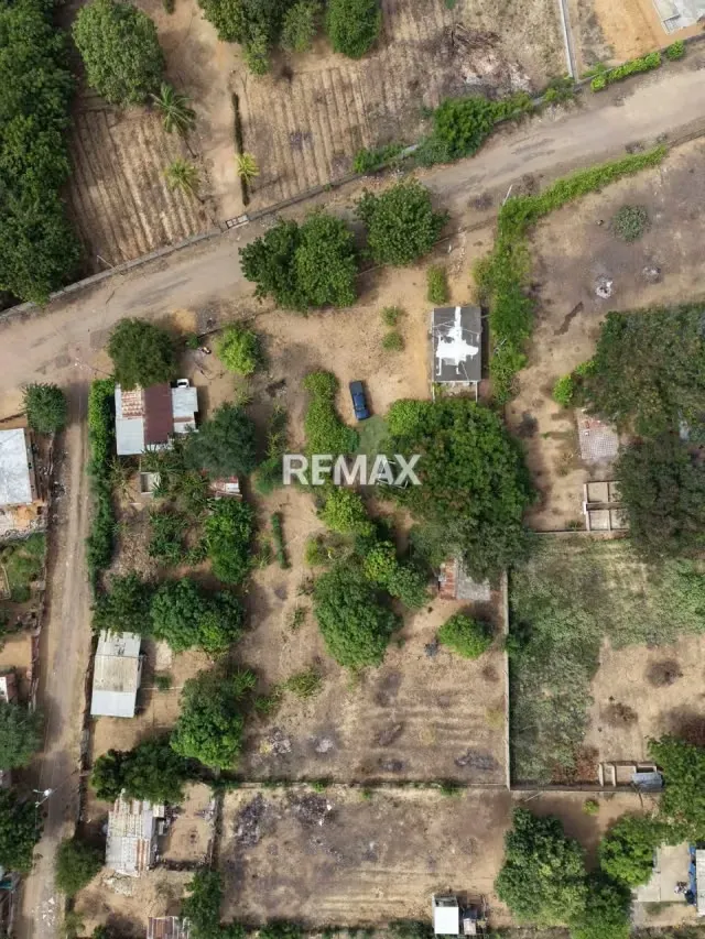 Venta Granja agrícola vía los Bucares Mcbo Zulia - 2