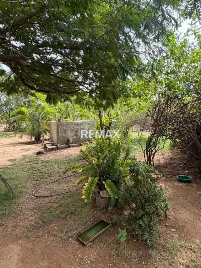 Venta Granja agrícola vía los Bucares Mcbo Zulia - 6